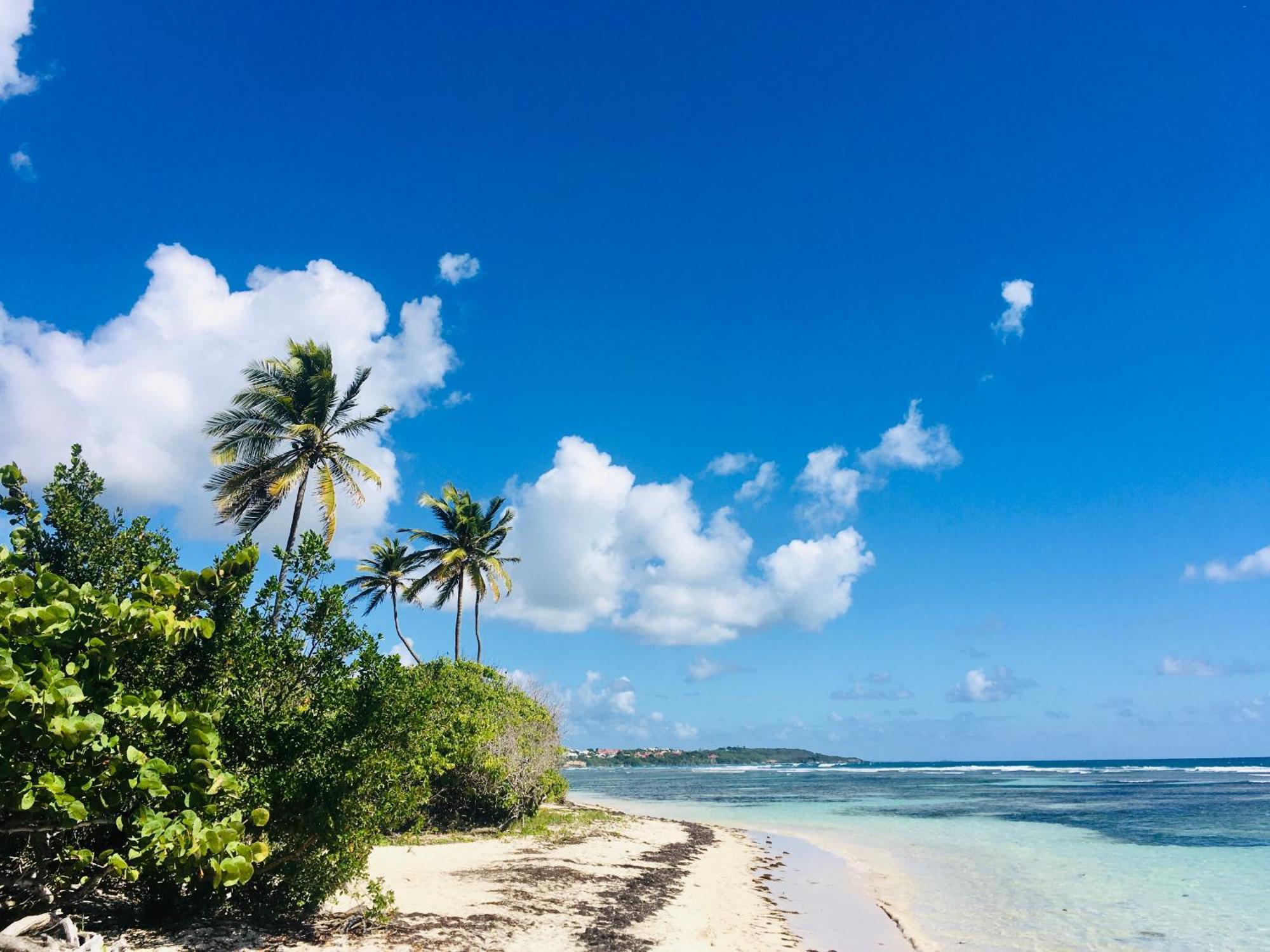 Tikazadaph, Pour Un Sejour De Charme, Romantique & Exotique, 97180 Sainte-Anne Buitenkant foto